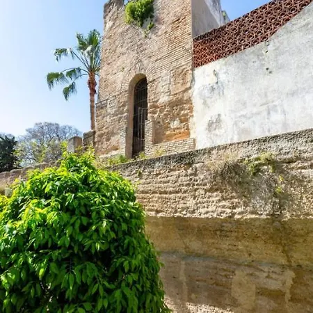 Old Cellar Surrounded By A 12th Century Parking Free Проживання в сім'ї Херес-де-ла-Фронтера