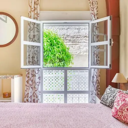 Old Cellar Surrounded By A 12th Century Parking Free