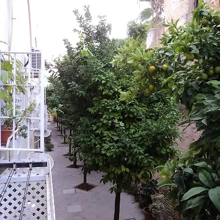 Old Cellar Surrounded By A 12th Century Parking Free