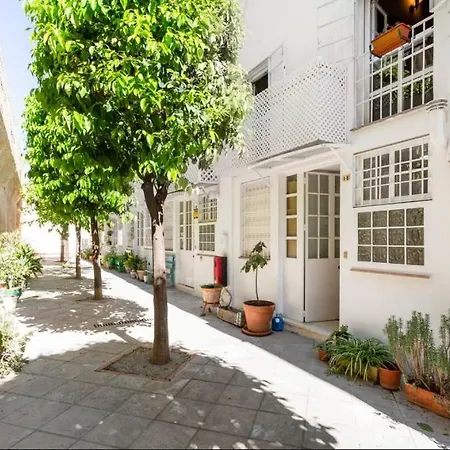 Old Cellar Surrounded By A 12th Century Parking Free * جيريز