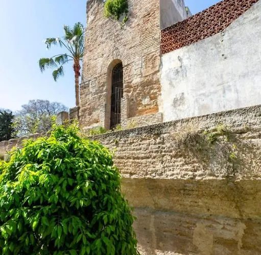 Old Cellar Surrounded By A 12th Century Parking Free Rum i privatbostad Jerez de la Frontera