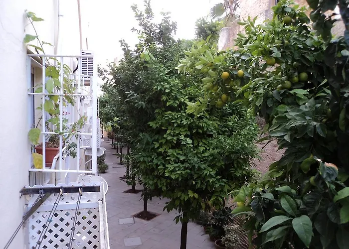 Old Cellar Surrounded By A 12th Century Parking Free