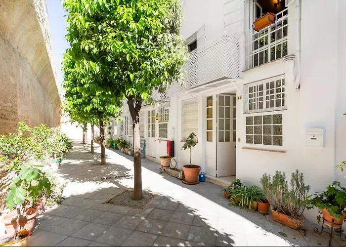 Old Cellar Surrounded By A 12th Century Parking Free * Jerez de la Frontera